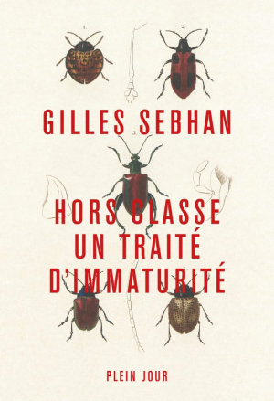 Gilles Sebhan – Hors classe Traité dimmaturité